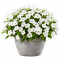 Plante artificielle en pot 45 cm polyester blanc vert pot en métal décoration intérieure
