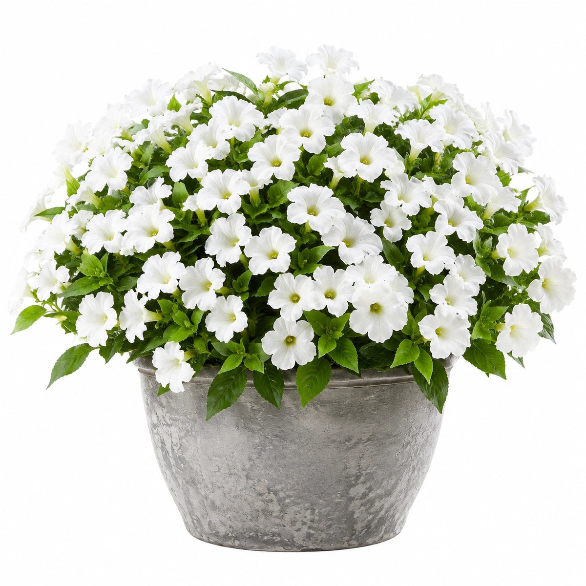 Plante artificielle en pot 45 cm polyester blanc vert pot en métal décoration intérieure