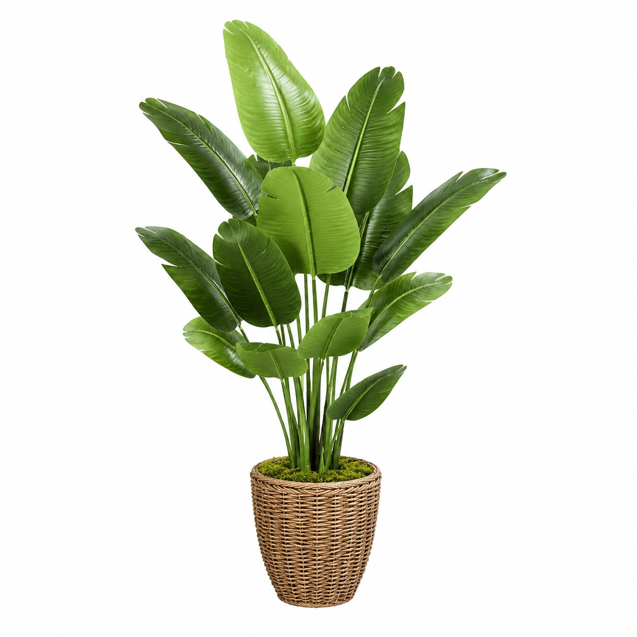 Plante verte artificielle 180 cm feuillage en plastique vert avec panier tressé décoration intérieure tropicale