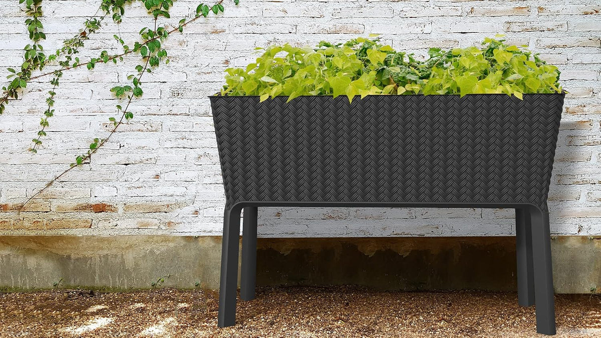 KETER - Jardinière Splendor Graphite 114 x 49,3 x 75,7 cm